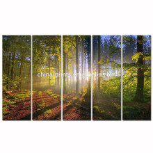 Forest Sunshine Canvas Wall Art/Wholesale Autumn Landscape Canvas Painting/Sunset Scenery Wall Picture